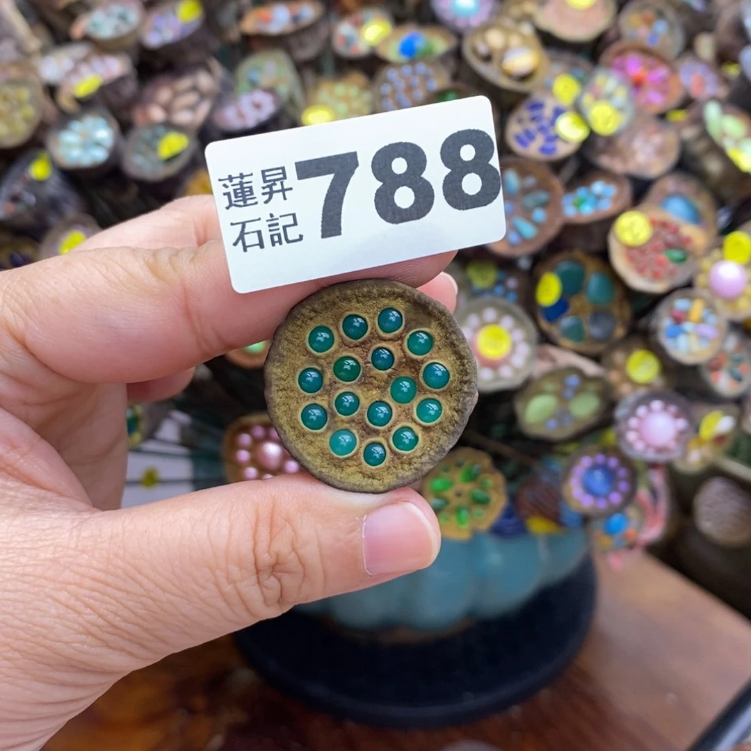 核桃木/黑胡桃（胡桃木）袁****来788