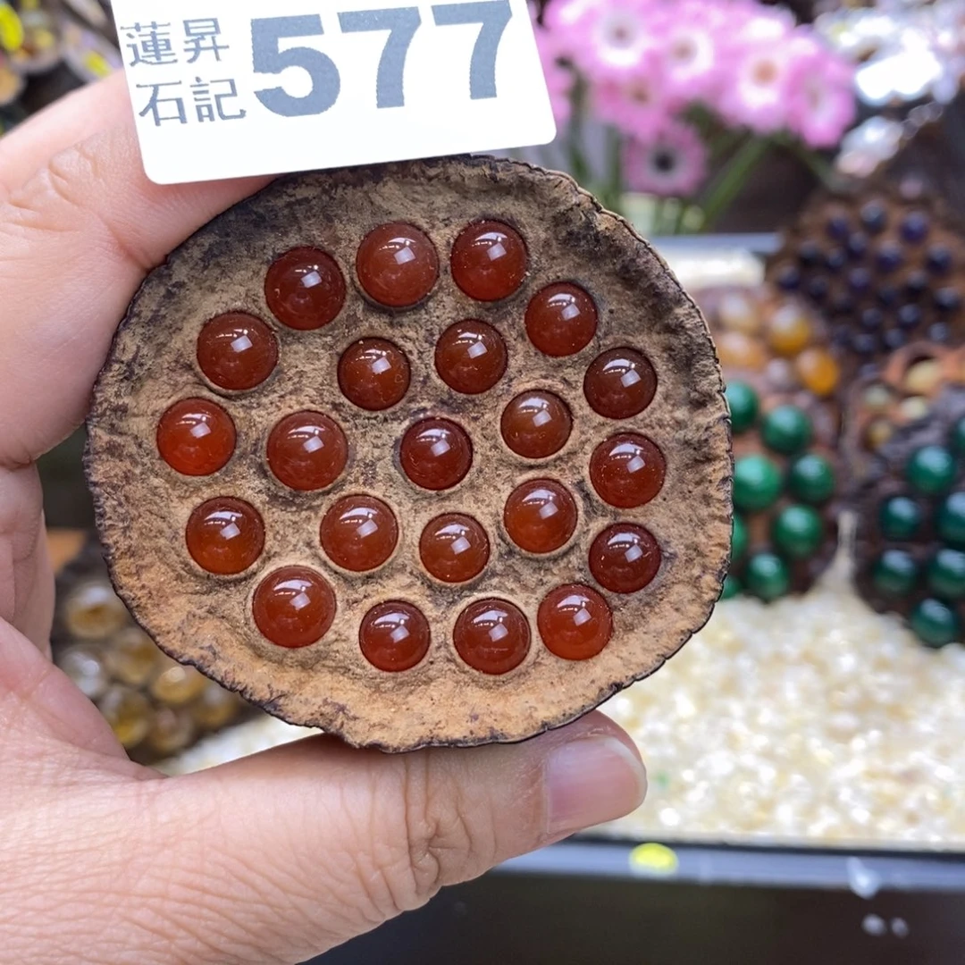 核桃木/黑胡桃（胡桃木）开***盆577
