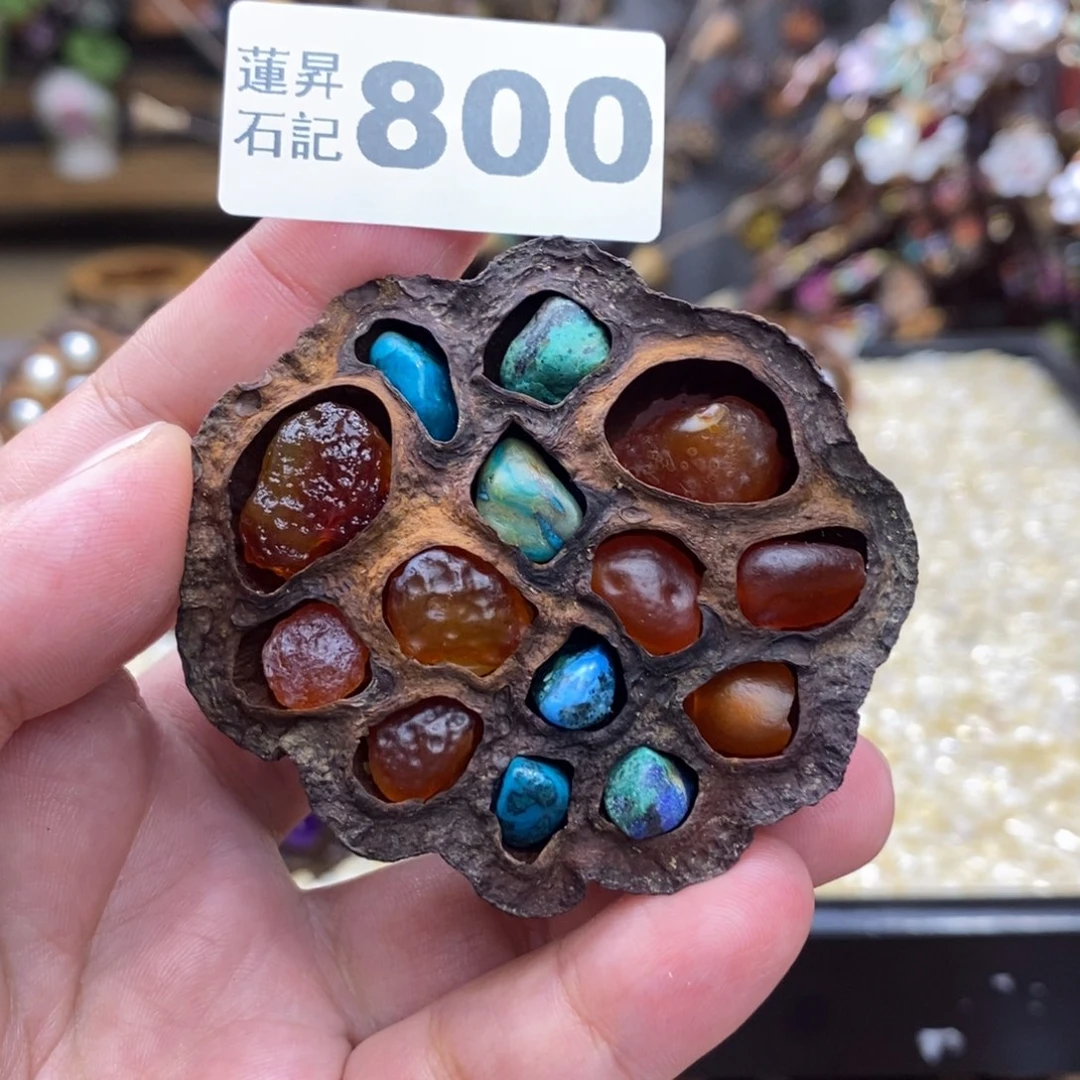 核桃木/黑胡桃（胡桃木）800
