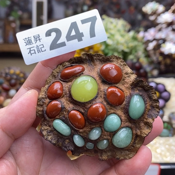 核桃木/黑胡桃（胡桃木）暖*，247