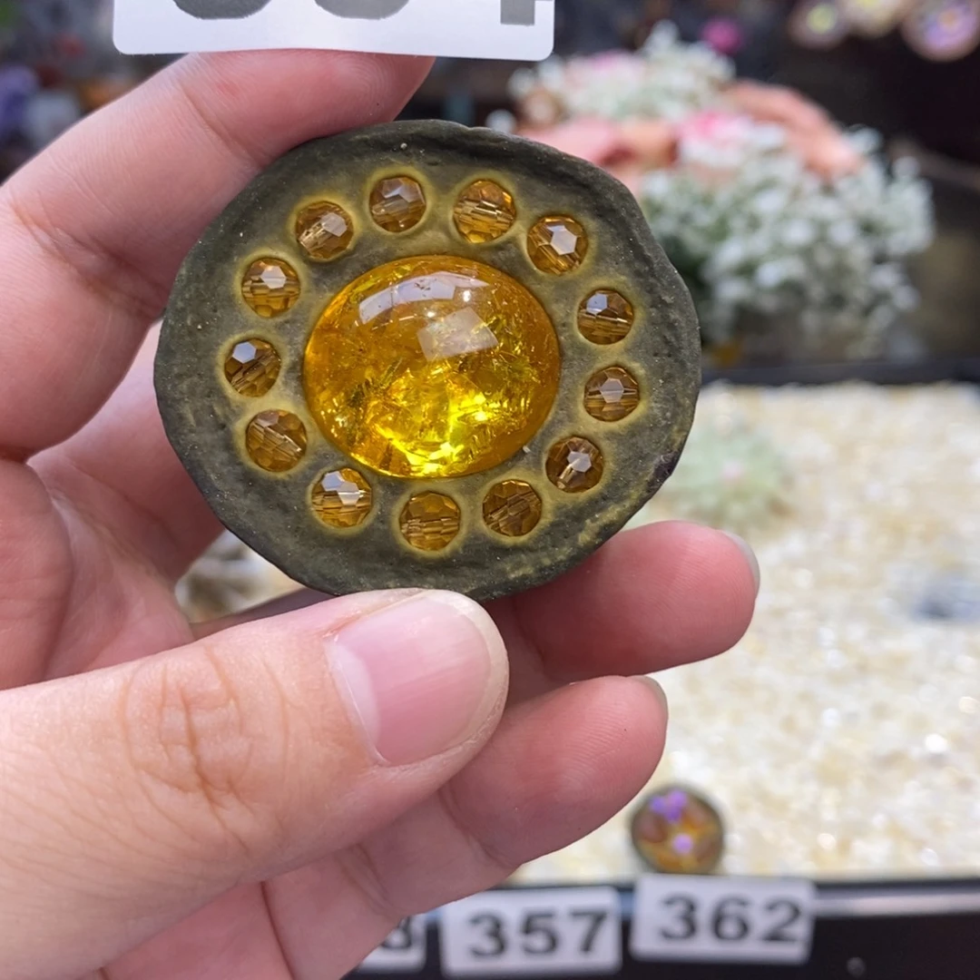 核桃木/黑胡桃（胡桃木）364