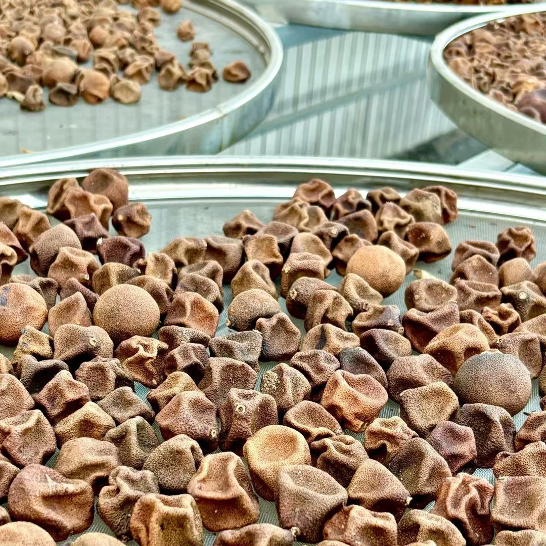 【梁总精选/C1093】新会陈皮  2022年梅江 二红 柑宝宝（7.03）