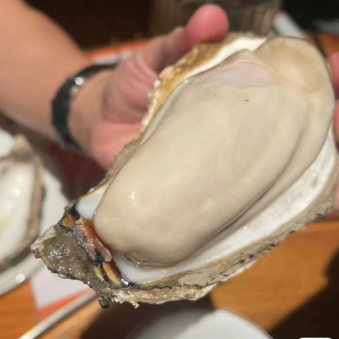 三倍体生蚝鲜活发货一斤三只左右 包邮牡蛎