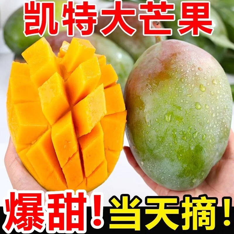 【金凤专属】四川攀枝花凯特芒5/9斤装现摘现发核小肉厚催熟食用[