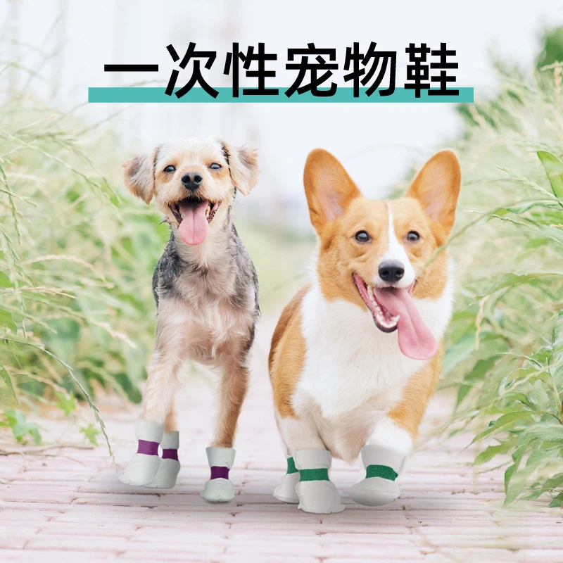 狗狗鞋子一次性脚套泰迪不掉脚比熊中小型犬宠物防脏防水脚套小狗