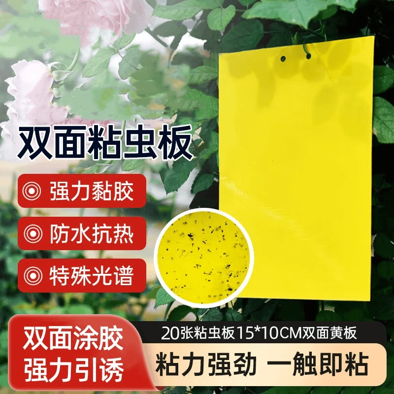 空消黄板双面粘虫板黄板双面粘虫板诱虫板黏虫板小飞虫果蝇诱贴纸