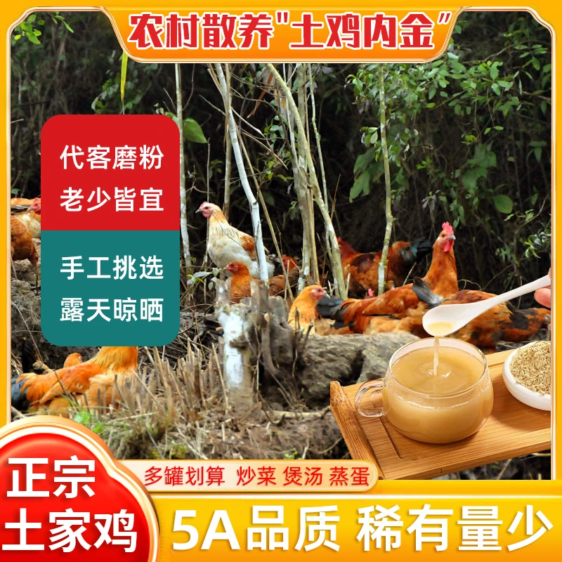 农村散养高品质鸡内金粉老少皆宜 粉质细腻易吸收 250克/罐