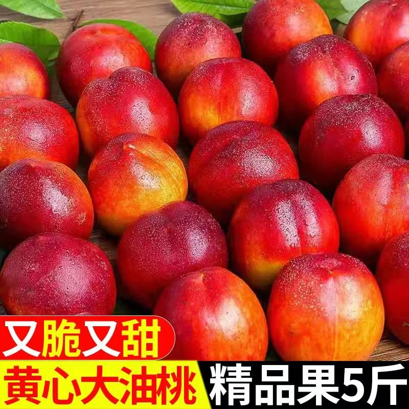 5斤新鲜水果油桃脆甜黄肉脆桃子包邮