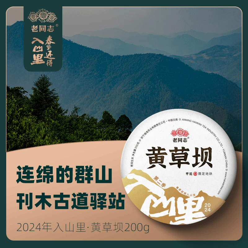 老同志普洱茶2024年黄草坝 古树 入山里 春茶 普洱茶 200克