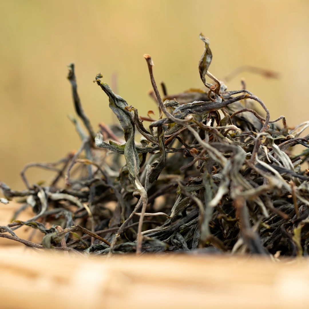 老同志2024年入山里黄草坝 古树 晒青茶 50克