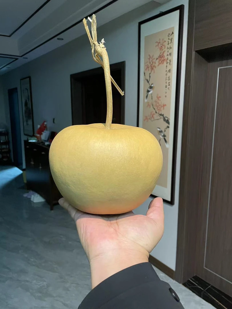 苹果葫芦种子20颗