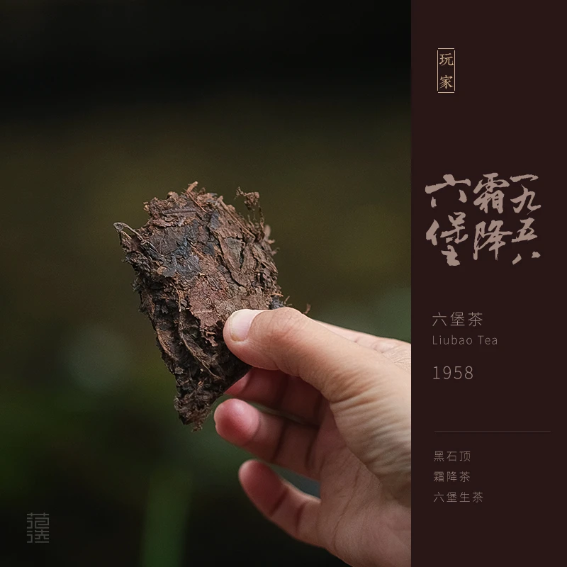 黑石顶霜降1958年六堡茶黑茶广西梧州传统工艺农家茶