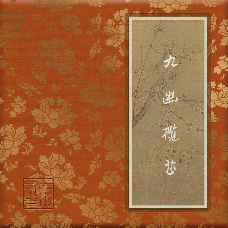 2023九幽揽芷 单泡锦盒装 聆泉饮石武夷岩茶