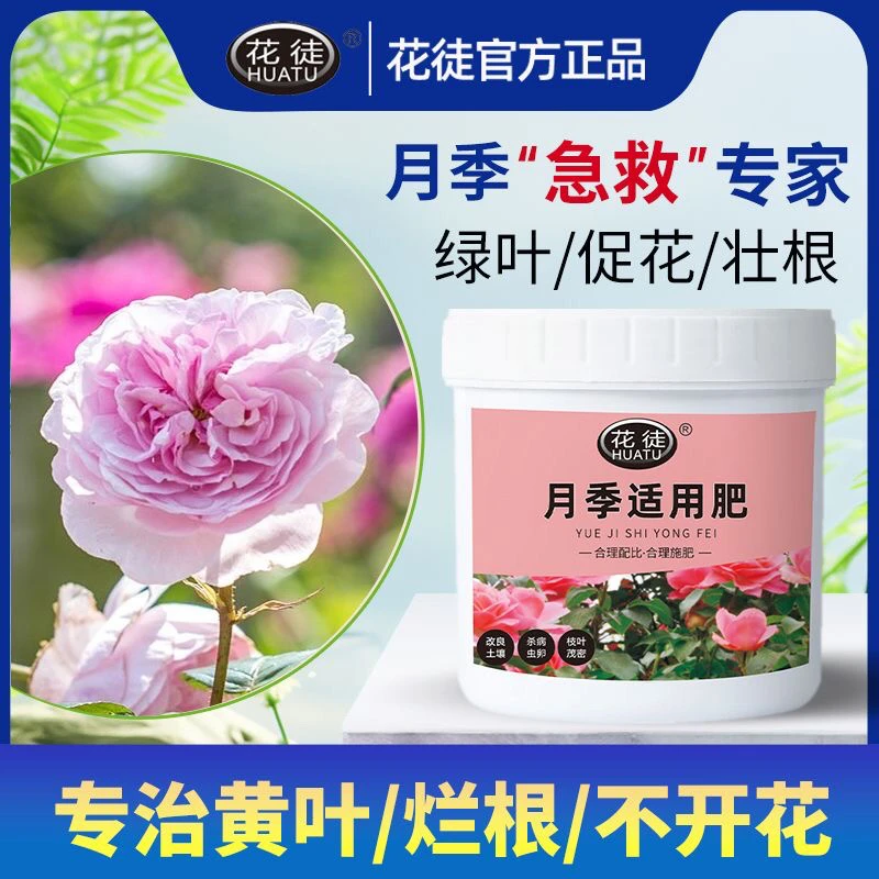 月季专用肥料家用花卉绿植盆栽果树黄叶促花促果通用颗粒缓释肥