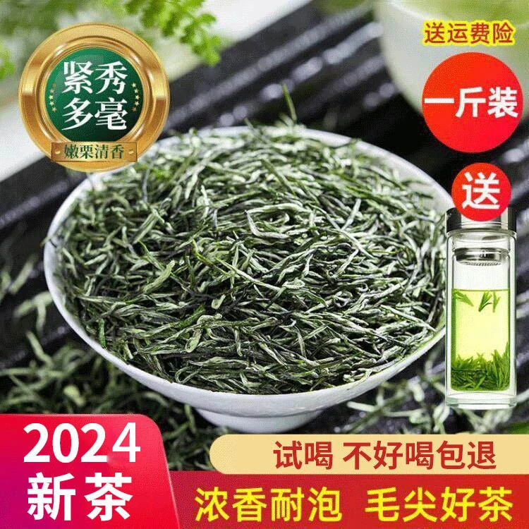 2024新茶信阳毛尖茶叶春季鲜嫩雨前浓香型春茶罐装浓郁绿茶送礼