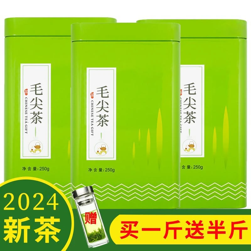 毛尖茶叶2024新茶信阳毛尖雨前浓香耐泡春茶炒青绿茶散装茶叶罐装