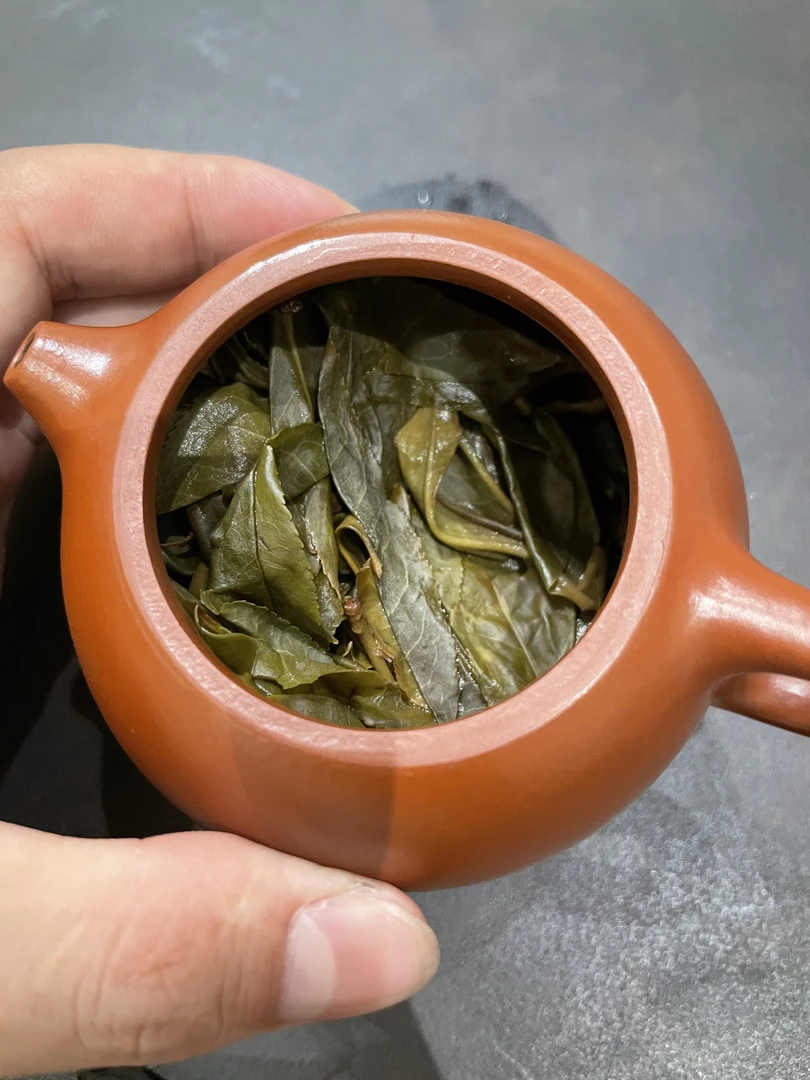 2024【甲辰】刮风寨茶王树头春花蜜香散茶普洱生茶袋装
