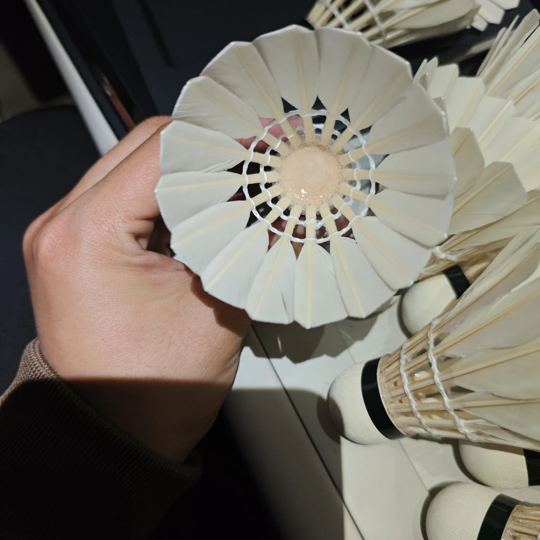 鹅驼背鹅单边全网低价 某红书张老板羽球 安徽芜湖工厂直发