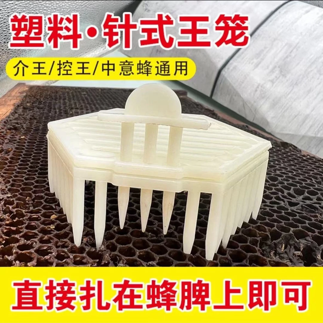 蜜蜂塑料多功能针式王笼分蜂戒王囚王笼关王控王养蜂工具