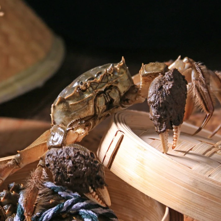 （公）江苏六月黄螃蟹1.4-1.6两（全武汉1-2小时送货上门）