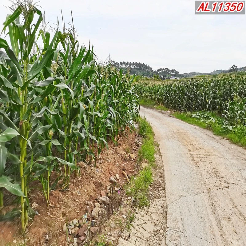 抖音逼真网红砖房直播背景布直播间3d立体田园山水农村主播背景布