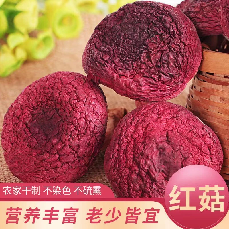 云南自然生长红菇菌菇月子菇滋补食用零添加自然生长