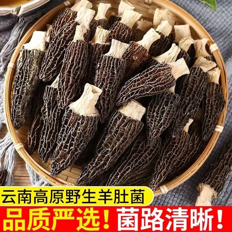 云南精品头茬羊肚菌细纹菌菇蘑菇炖汤红烧香味足原生态滋补营养