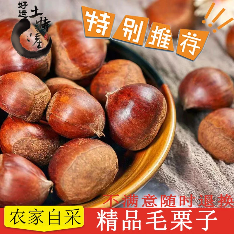 去刺新鲜板栗生栗子河南嵩县正宗现摘毛栗子红皮新鲜板栗球500克