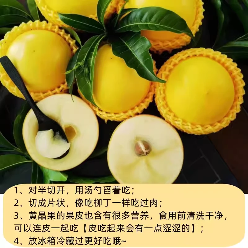新鲜水果黄晶果香甜软糯营养现摘黄金果鲜果水果中的燕窝顺丰包邮