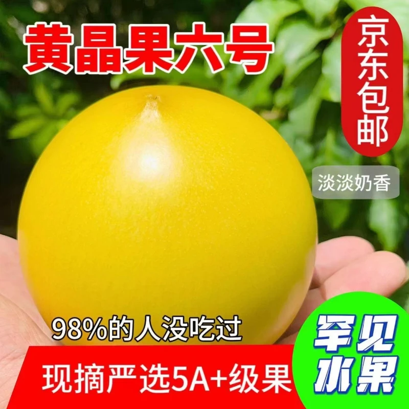 广东黄晶果六号新鲜现摘鲜甜果冻口感水果界的燕窝1-6斤京东包邮