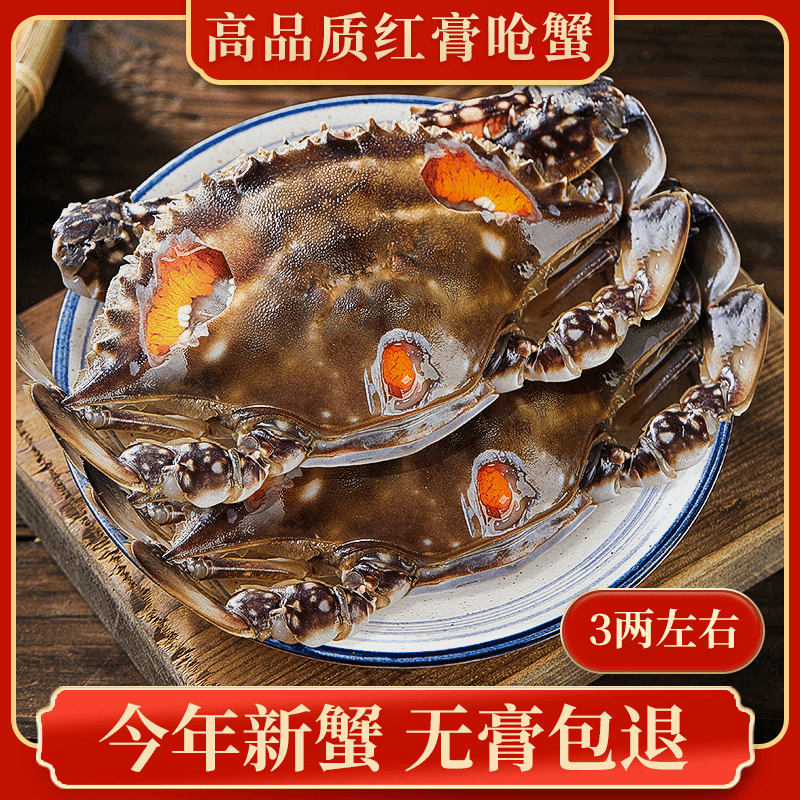 舟山特产红膏呛蟹3-4两/只梭子蟹新鲜生腌蟹醉蟹母螃蟹海鲜咸炝蟹