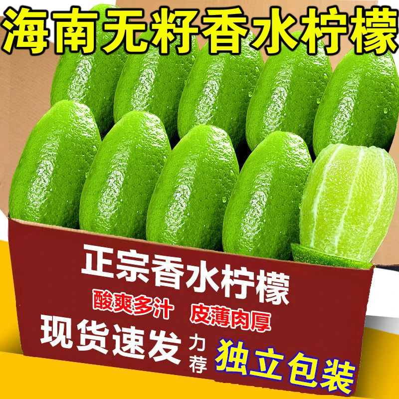 海南无籽香水柠檬青柠檬金桔奶茶店暴打专用新鲜当季批发