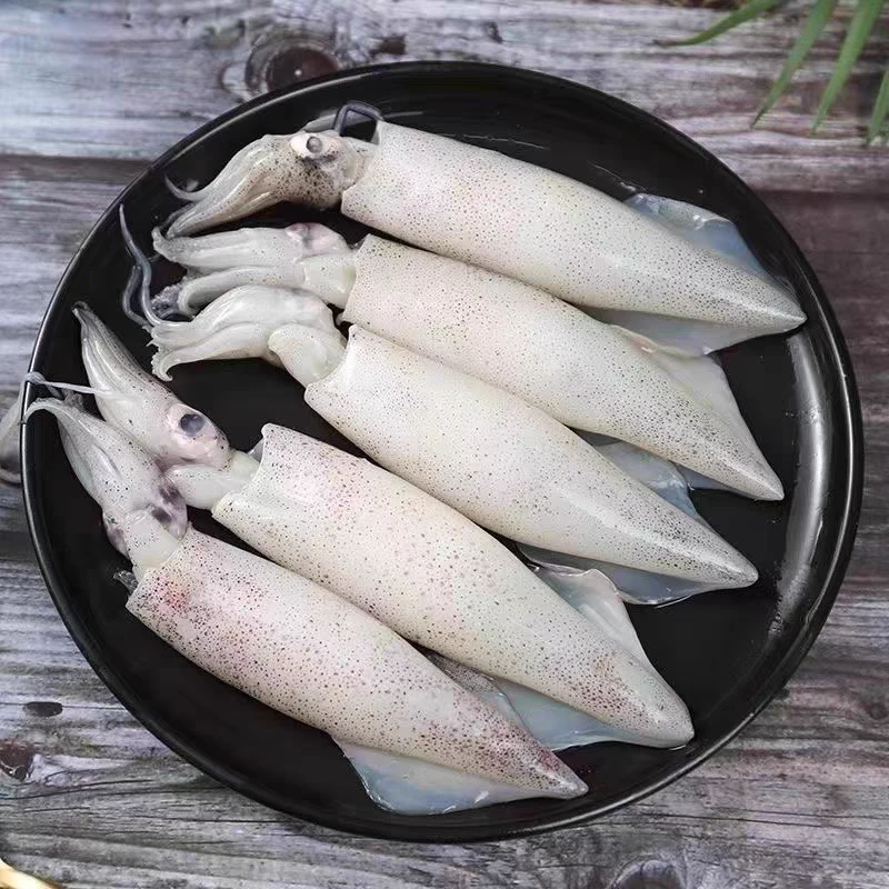 【主播讲解】视频中冷冻笔管鱼速冻