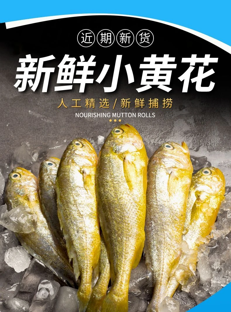 海捕黄花鱼野生小黄鱼新鲜冷冻