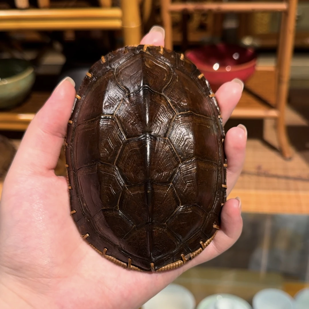 真龟壳手工编织茶则 手把件摆件