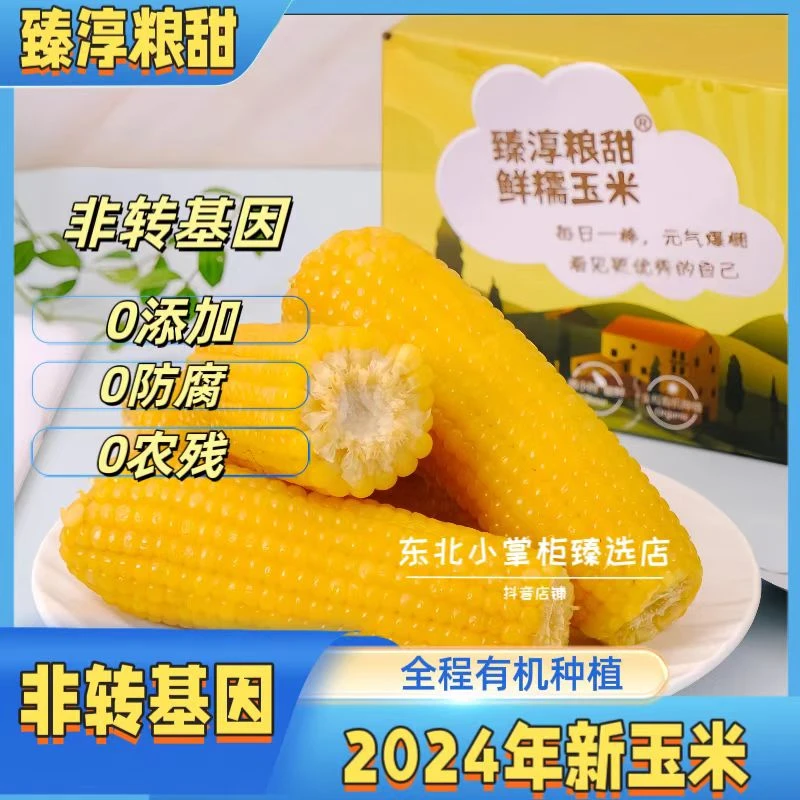 臻淳粮甜糯玉米2024新鲜非转基因东北香糯玉米0添加食用营养玉米