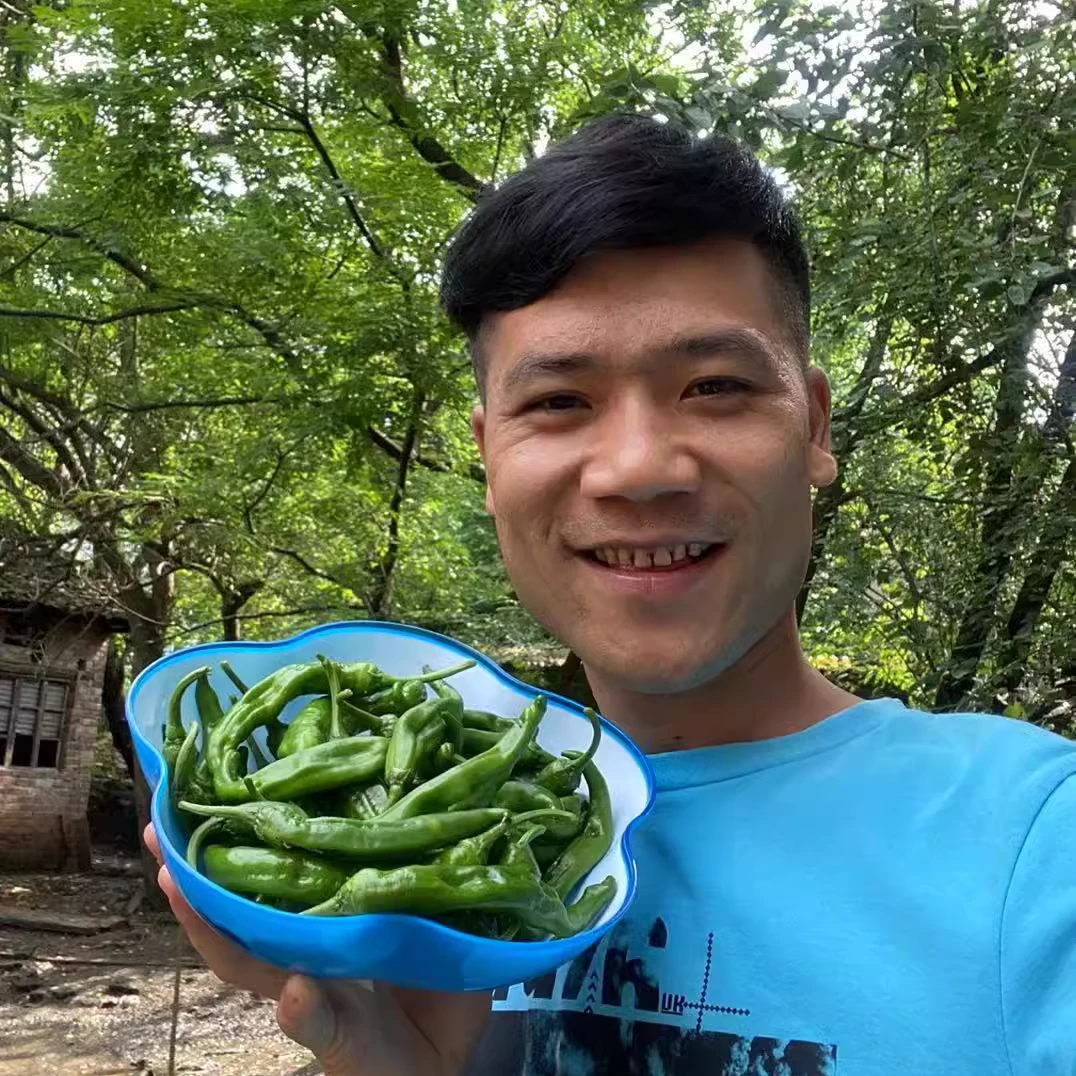 特辣湖南辣椒衡阳耒阳本地种植湘阴辣椒益阳樟树干港辣椒薄皮尖椒