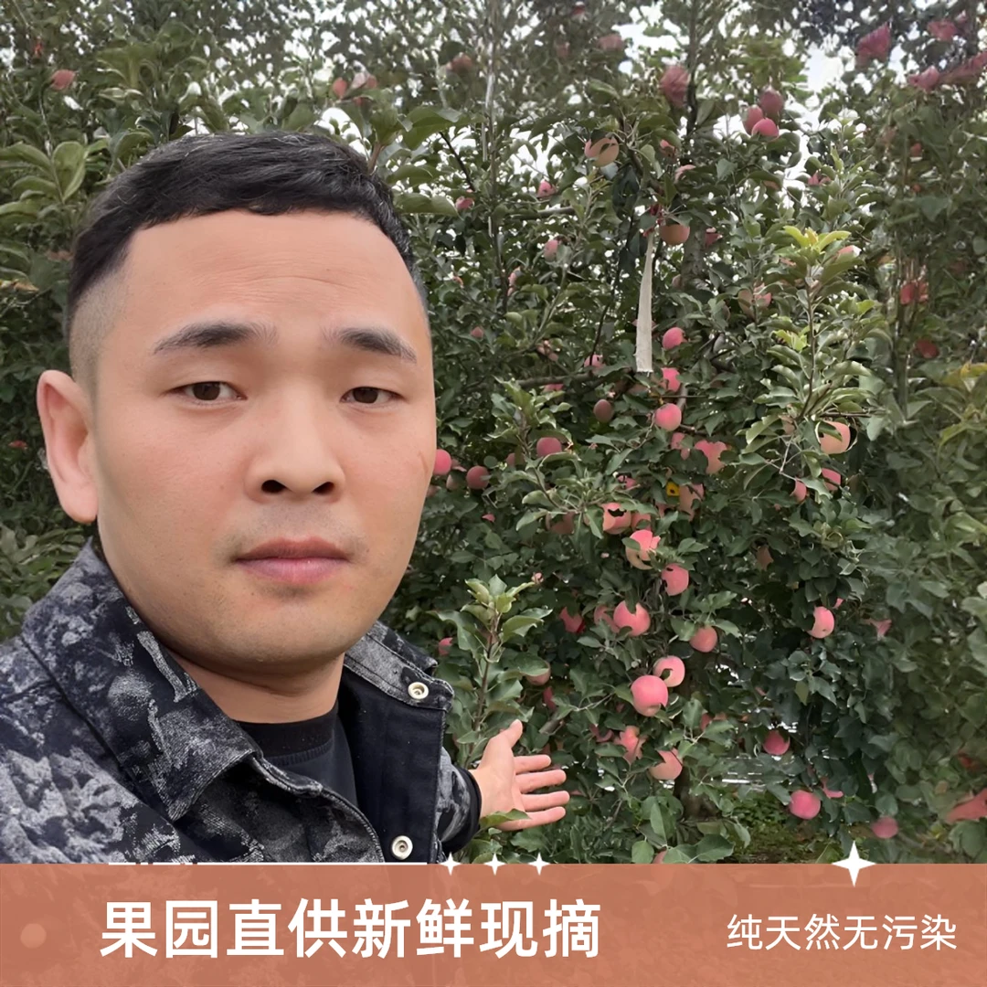小苹果 小果陕西纯天然高原苹果 助农老丈人 带箱9斤