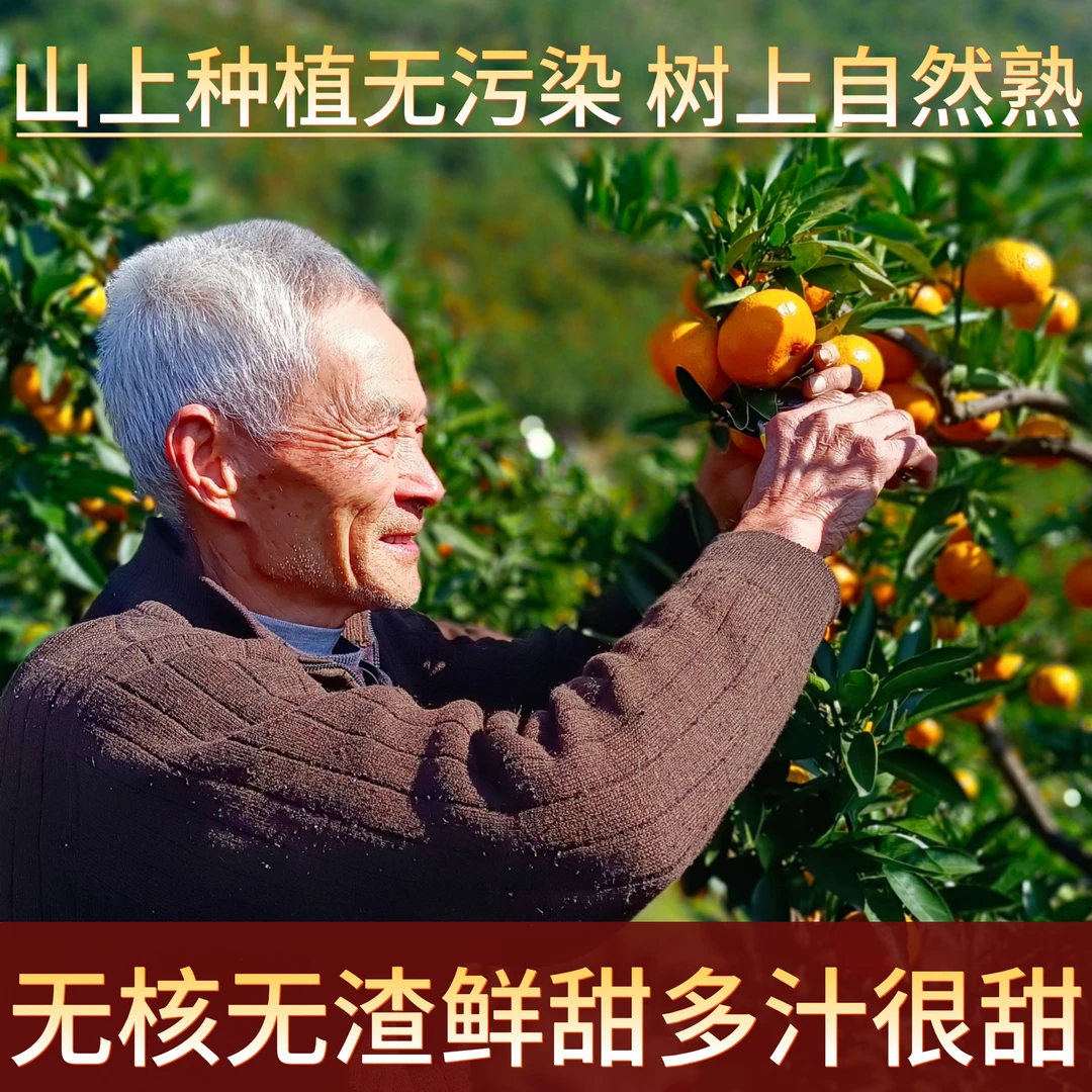 01涌泉蜜桔高山蜜桔无核化渣爆汁现摘现发全国包邮