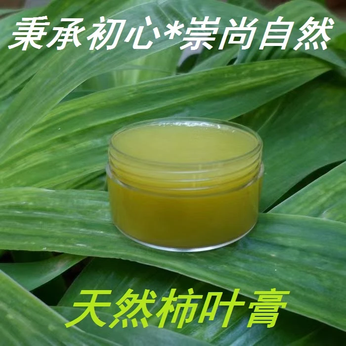 陈老师推荐配方制作柿叶膏采用霜后柿子叶凡士林古法熬制萃取霜膏