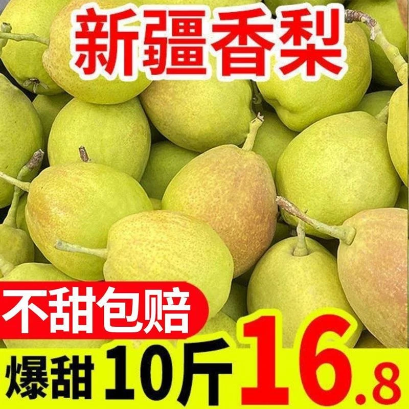 【正果园】库尔勒香梨源自新疆梨子新鲜水果玉露冰糖雪梨当季整箱
