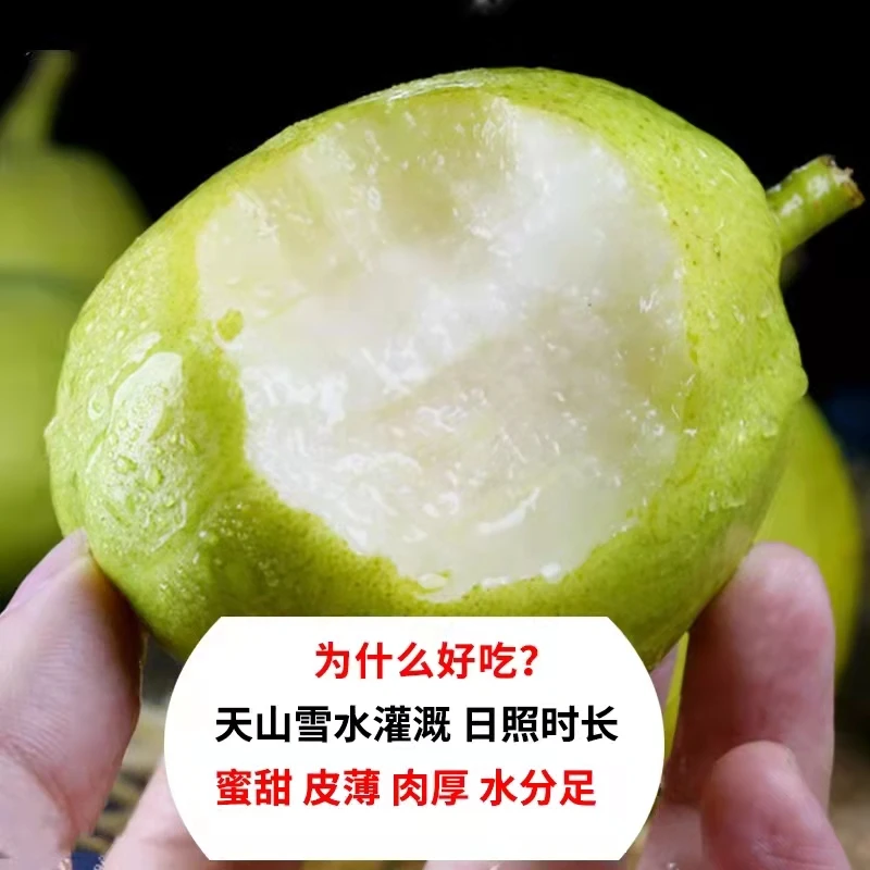 【正果园】新疆库尔勒香梨水果新鲜大果全母梨/皮薄汁水中果净重
