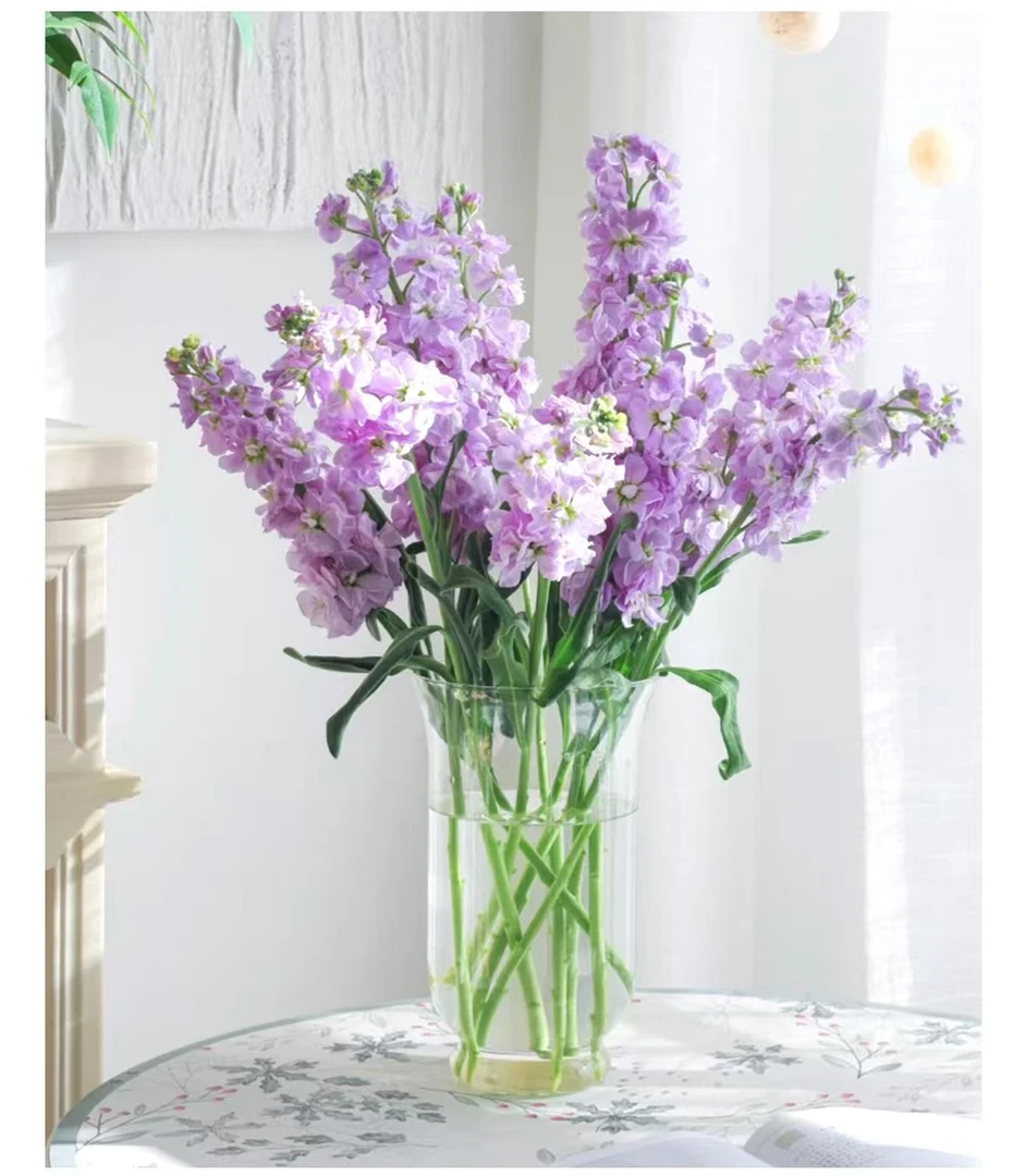 家居花 紫罗兰十支一扎   紫粉随机