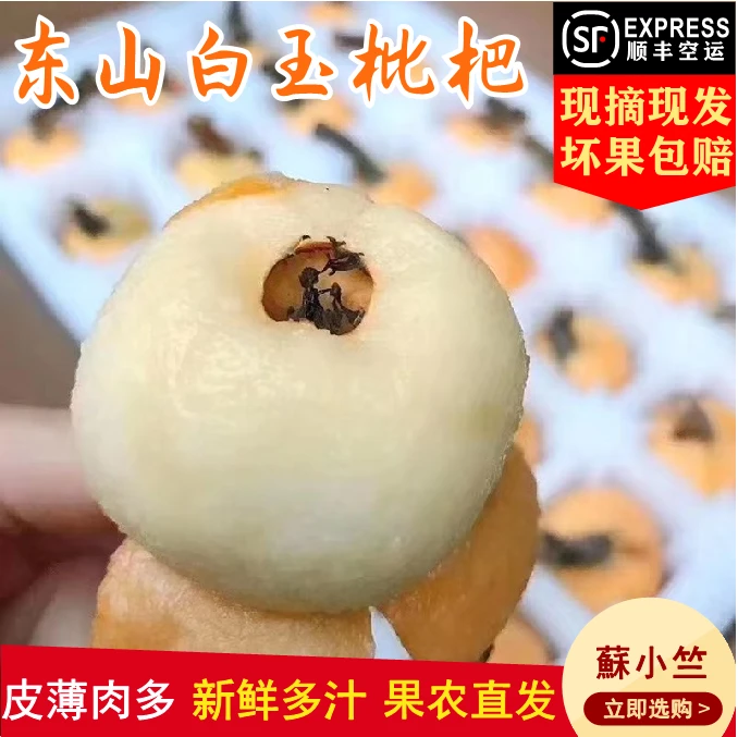 苏州东山白玉枇杷现摘现发新鲜多汁大果农家自产无添加精美礼盒装