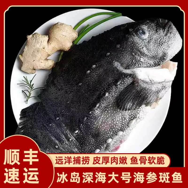 北极深海冰岛海参斑大号石斑鱼去脏新鲜红烧营养冷冻顺丰包邮