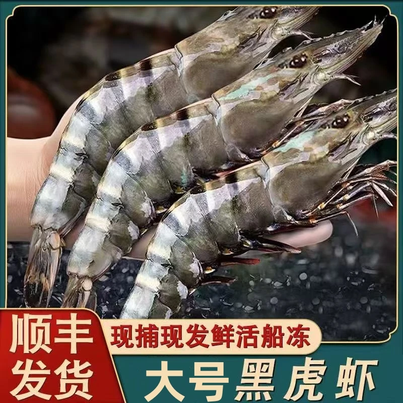 21/25速冻黑虎虾鲜活船冻3斤毛重/盒口感鲜甜肉质紧实顺丰包邮