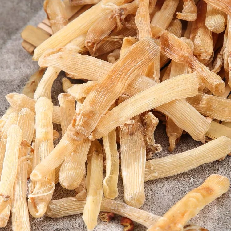 精选北部湾珍品天然沙虫干新鲜烘干去沙干净鲜香鲜甜煲汤炒菜营养