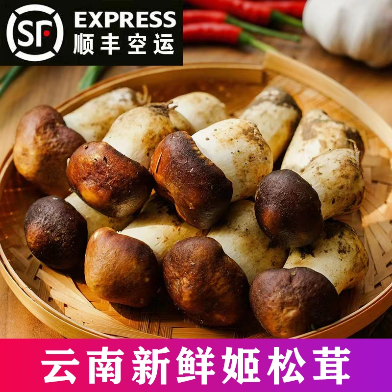 云南特产高海拔深山特大新鲜姬松茸食用菌煲汤煎炒营养鲜美1/2斤