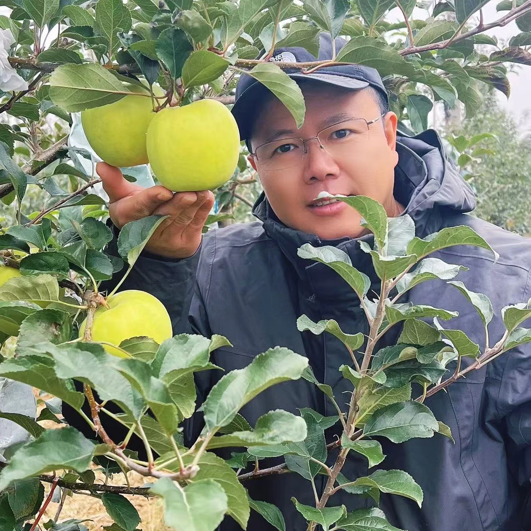 【达哥专属】陕西瑞雪苹果脆甜爽口2024达哥产地限量尝鲜