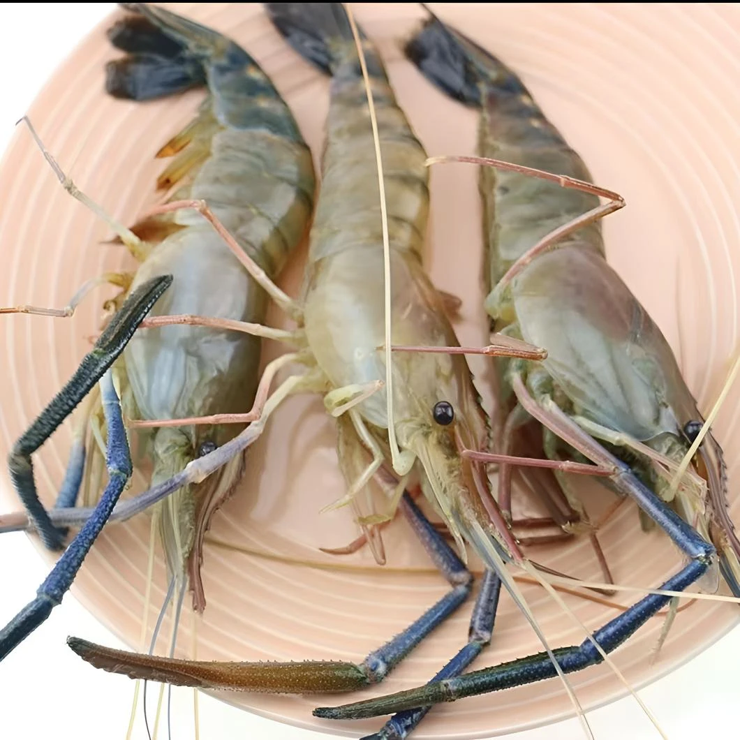 新鲜大号国产罗氏沼虾鲜活速冻一斤15头左右 到手3斤（个别软壳）